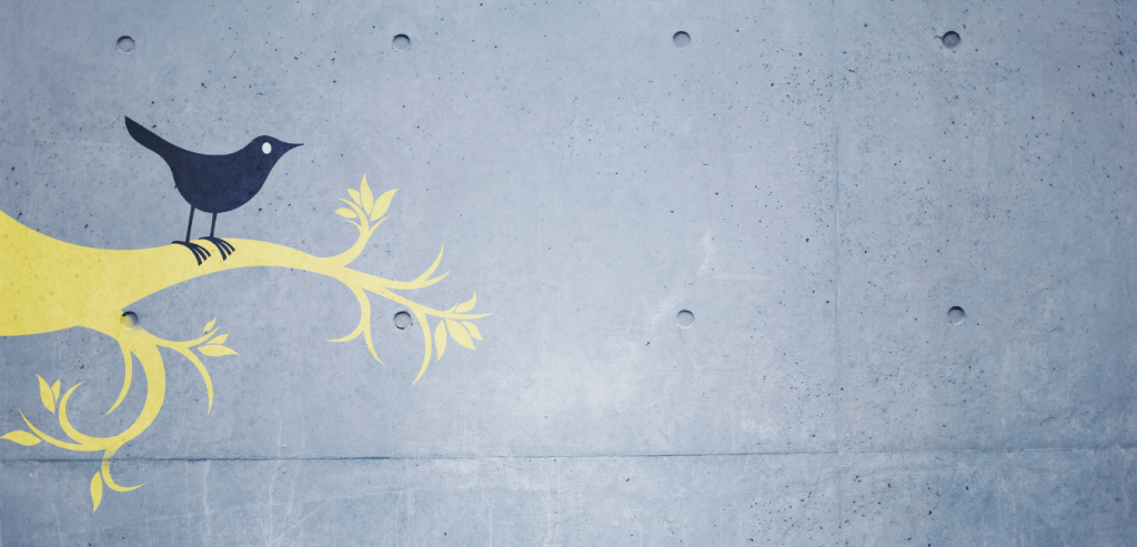 Stenciled Concrete Tallahassee